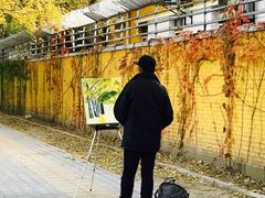 -三里屯东五街银杏大道