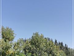 -敦煌莫高窟数字展示中心