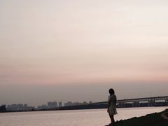 -南沙蒲洲花园