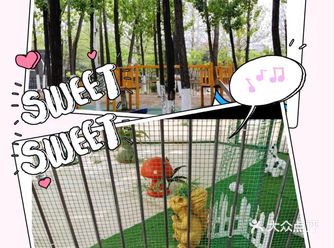 娃娃感受自然，放手奔跑的一天