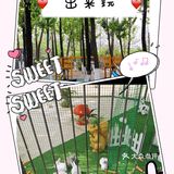 娃娃感受自然，放手奔跑的一天