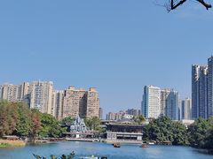 -荔湾湖公园