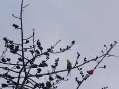 -广州雕塑公园