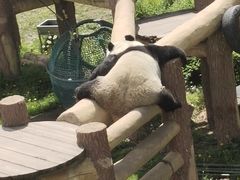 -沈阳森林动物园