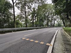 -金水泊山庄·花椒鸡(铁山坪店)