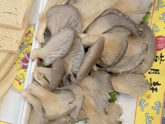 -芦月轩羊蝎子(太平桥店)