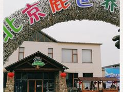 -北京鹿世界主题园