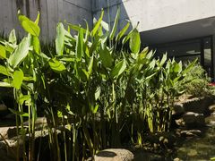 -中国湿地博物馆