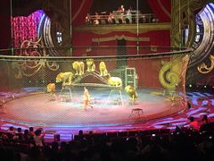 -珠海横琴长隆《卡卡虎奇遇记》