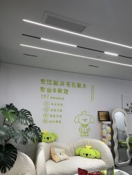 -凡碧诗毛孔清洁收细