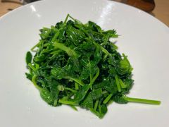 清炒豌豆尖-一坐一忘云南菜(卓悦中心)