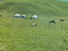 -新疆那拉提国家旅游度假区