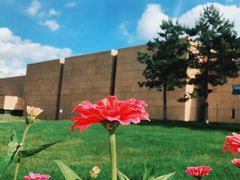 -长春世界雕塑园冰雪艺术天地