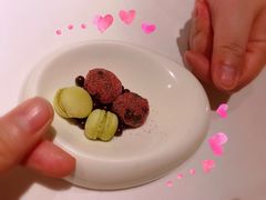 -蝶舍·MAISON PAPILLON