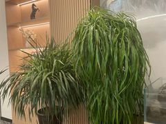 -鼎泰中汇广场