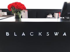 -BLACKSWAN黑天鹅(环球店)