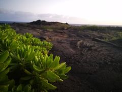 -夏威夷火山国家公园