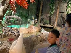 -zoonana室内动物园(东方福来德店)