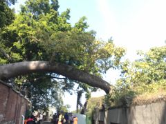 -厦门燕子坞客栈