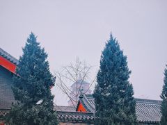 -大慈恩寺(大雁塔)