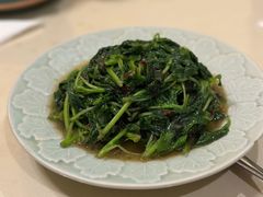 菊叶苋菜-吉事利茶餐厅