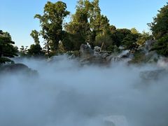 -东莞植物园