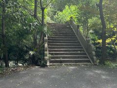 -东平国家森林公园