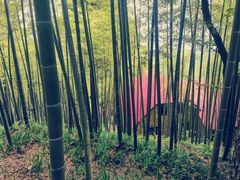 -莫干山风景区