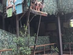 -长鹿旅游休博园