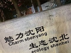 -2597披萨