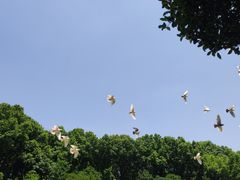 -音乐台