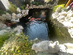 -鲤院·新中式美学·庭院餐厅(夫子庙店)
