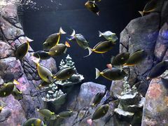 -成都浩海立方海洋公园