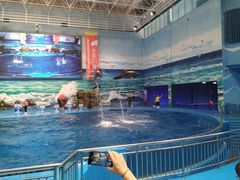 -多彩贵州城极地海洋世界