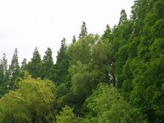 -瀛洲公园