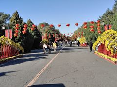 -北陵公园