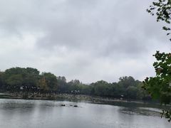 -西湖外事游船(湖滨二公园外事游船码头)