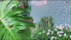 点击看大图 -花隐·美芙炫海菲秀皮肤管理中心