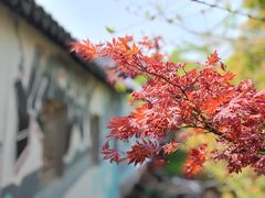 -雨花胜境