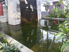 -瑞丰园庭院餐厅·白族传统家常菜