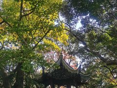-秋霞圃