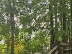 -东湖落雁景区