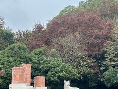 -狼山风景名胜区