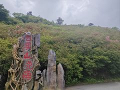 -木兰云雾山