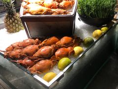 -圆顶阁西餐厅(郑州索菲特国际饭店 )