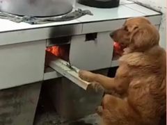 -再回首鸡肉米线(人民路一店)