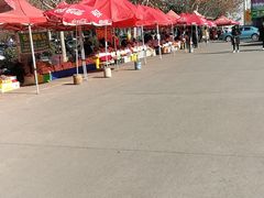-秦始皇兵马俑博物馆-停车场