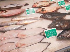 -阿里郎海鲜酒店