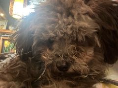 -陈厨(新苑小区店)