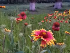 -汉长安城未央宫国家考古遗址公园